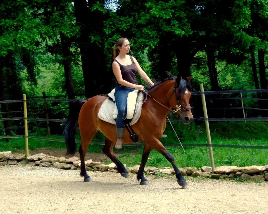 cheval a bascule position