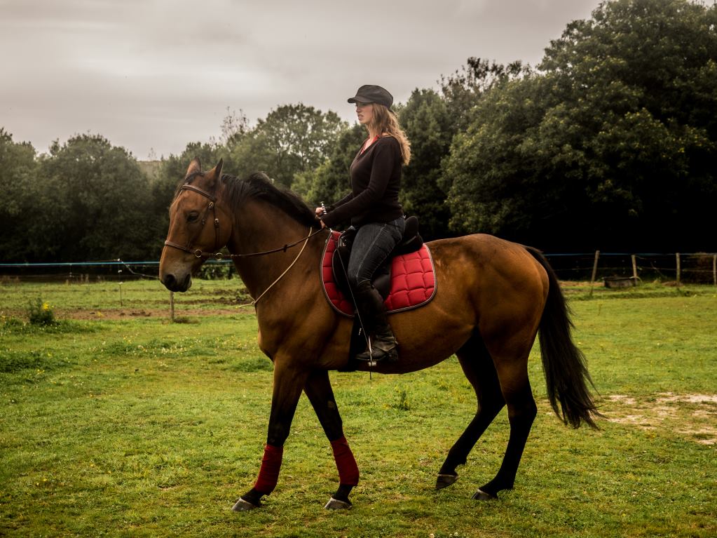 Le Cavalier S En Sert Pour Stimuler Son Cheval